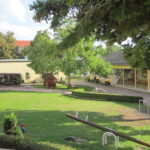 Spielrasen
